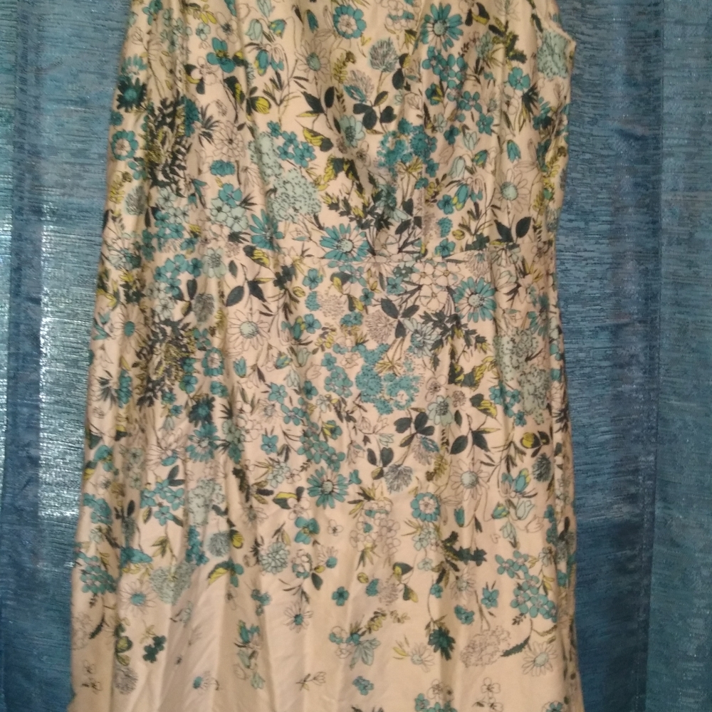 Beautiful dress euc